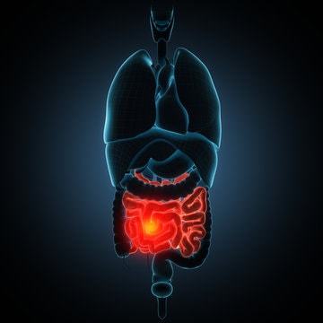 Symptome intestin irritable troubles intestinaux