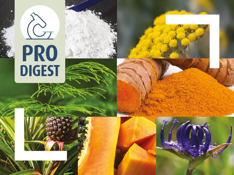 Cicatrisant naturel - bienfaits des principes actifs combinés du Novalcica