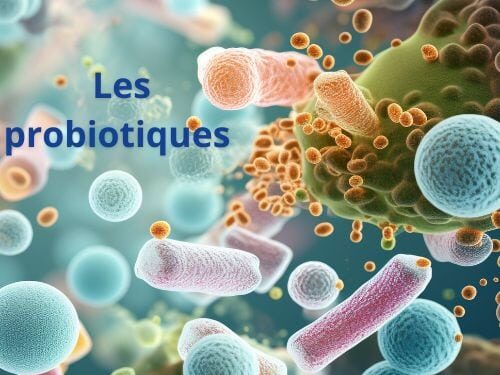 probiotiques cure probiotiques troubles intestinaux
