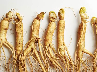 ginseng panax - forme - vitalite - tonifiant naturel - novalform - novaltera