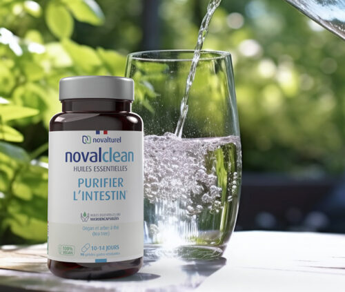 novalclean-assainir-intestin-antiviraux-antifongiques-antiseptiques-novalturel