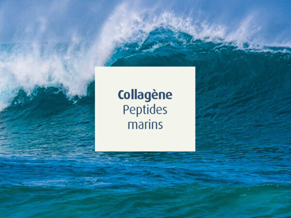 novalcollagen-collagène-peptides marins