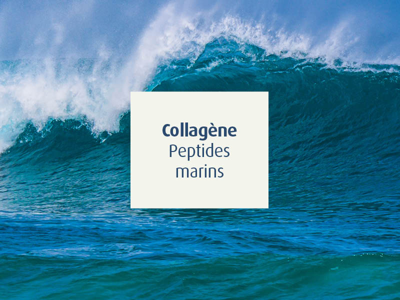 novalcollagen-collagène-peptides marins