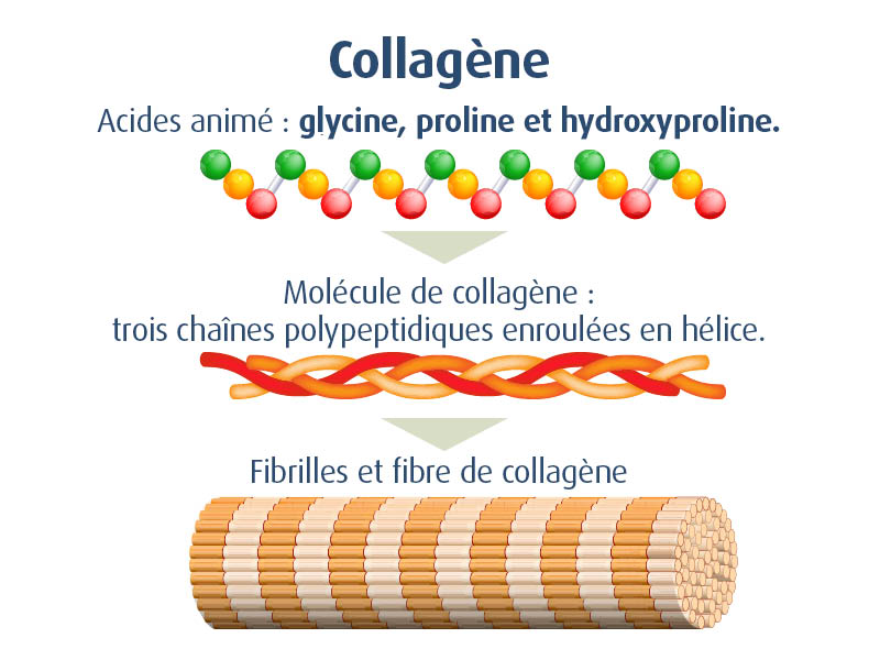 novalcollagen-compléments alimentaires collagène articulation