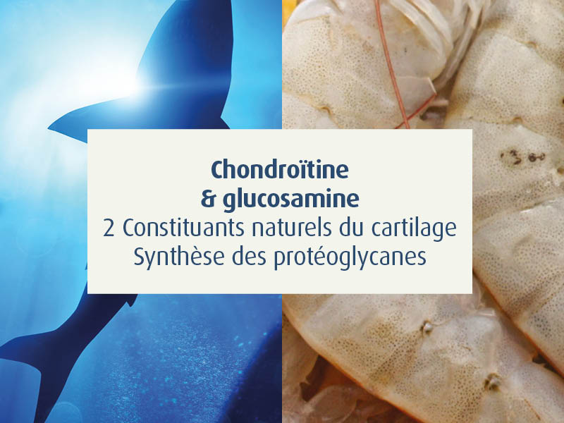 novalflex-compléments alimentaires articulations sportifs - novalturel - chodroïtine-glucosamine