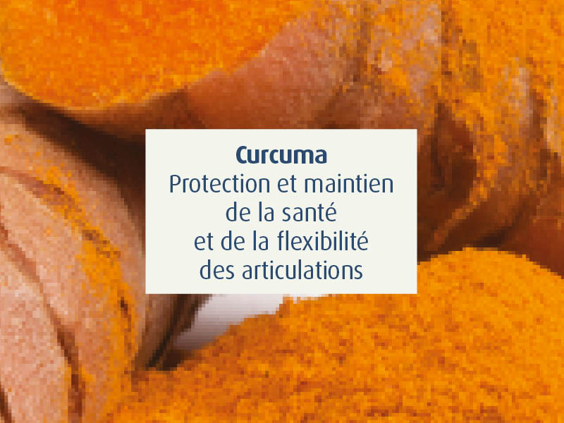 novalflex-compléments alimentaires articulations sportifs - novalturel - curcuma