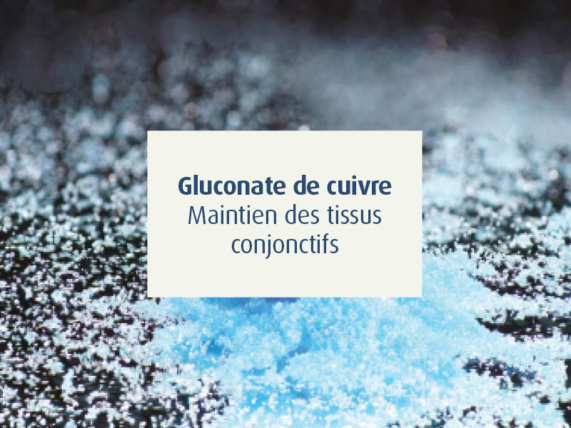 novalflex-compléments alimentaires articulations sportifs - novalturel - gluconate de cuivre