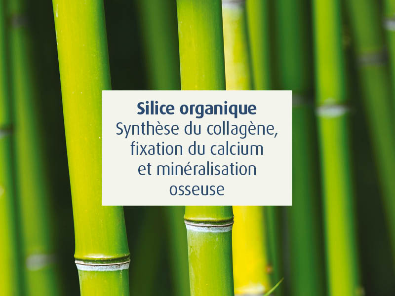 novalflex-compléments alimentaires articulations sportifs - novalturel - silice
