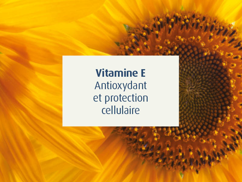 novalflex-compléments alimentaires articulations sportifs - novalturel - vitaline E