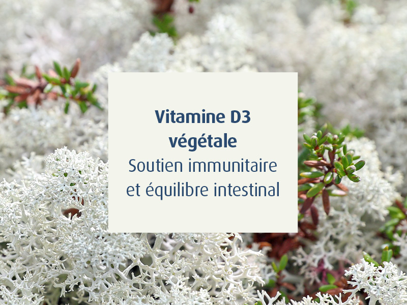 Vitamine D3 Novalgut