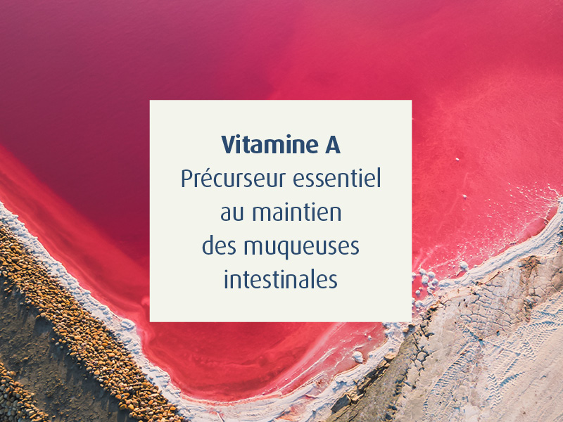 Vitamine A Novalgut