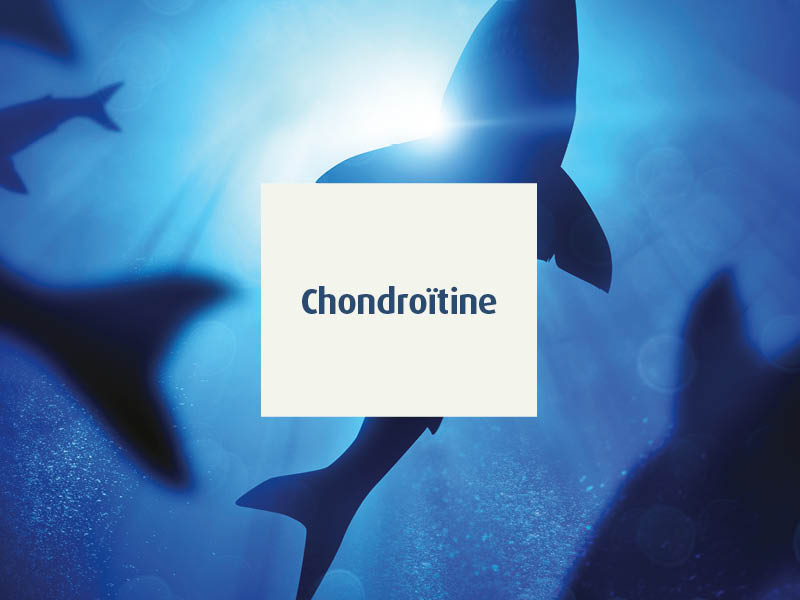 novalosteo-compléments alimentaires articulations séniors - chondroïtine - novalturel