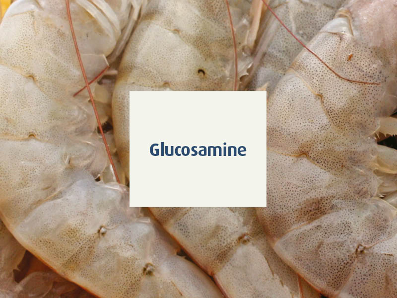 novalosteo-compléments alimentaires articulations séniors - glucosamine - novalturel