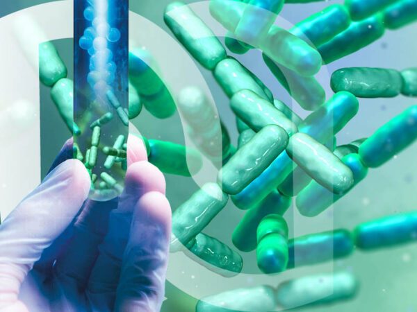 novalturel-probiotique-lactobacillus-helveticus-equilibre-flore-intestinale-novaturel
