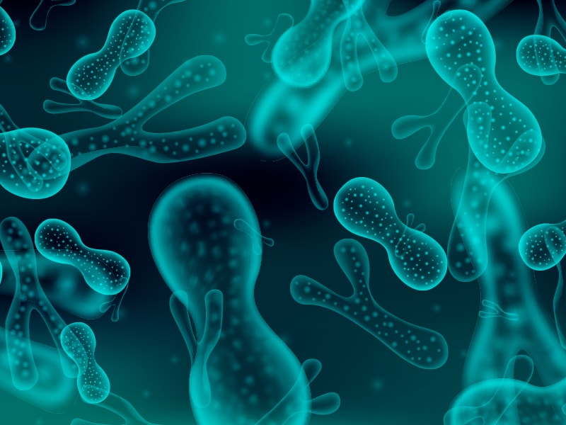 perméabilité-intestinale-hyperperméabilité-novaltera-traitement-naturel-microbiotiques-microbiote cure probiotiques