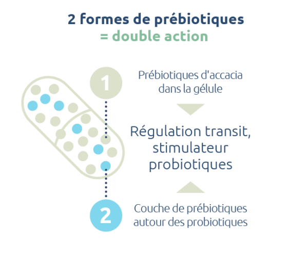 prebiotiques-double-actions-regulateur-transit-stimulateur-probiotiques-novalturel