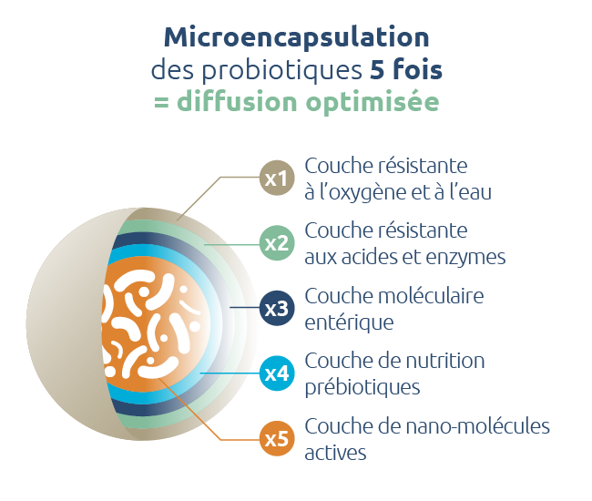 probiotiques-microencapsulation-5-fois-diffusion-optimale-novalturel