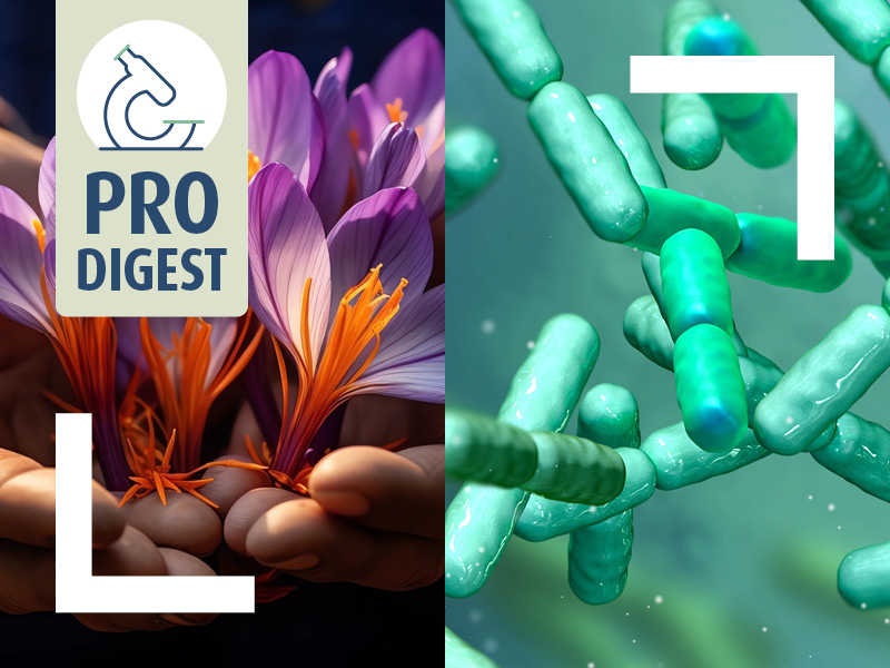 safran-psychobiotiques-traitement-depression-naturel-novalzen