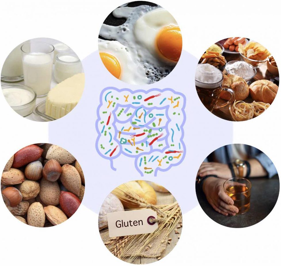 test intolérances alimentaires troubles intestinaux analyse intestin irritable troubles intestinaux